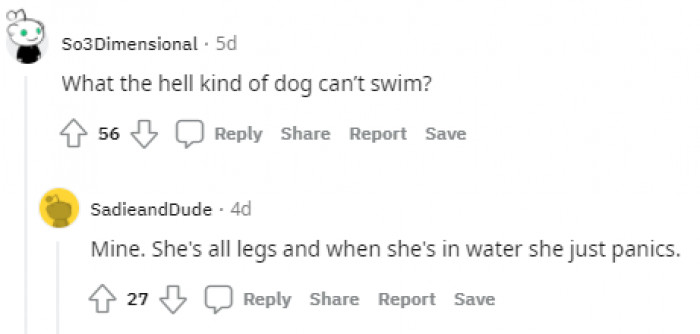 16. Not all dogs can swim