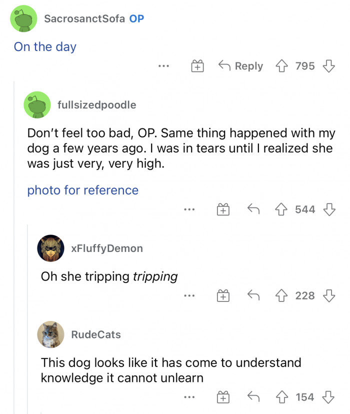 Scroll down to check out the picture that’s linked in the screenshot.