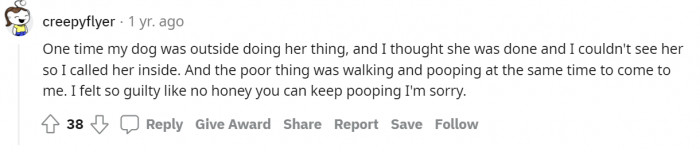 #10 Torn between pooping or following the call.