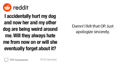 Redditors Give Outstanding Replies To A Dog Owner Whose Dog Acts Weird Around Her After A Bad Trimming Session