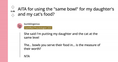 Woman Wants To Know If He's In The Wrong For Using The "Same Bowl" For Her Daughter's And The Cat's Food