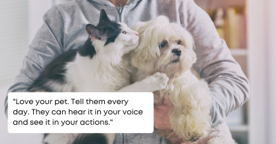 Insightful Answers From Veterinarians And Other Animal Care Professionals On Little Ways To Make Your Pet's Life Better