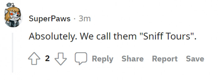 Walks for the outside and sniff tours for the inside.