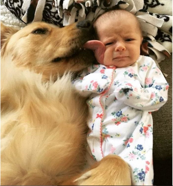 6. This love seems to be one-sided, only until the baby is old enough to play with the dog.