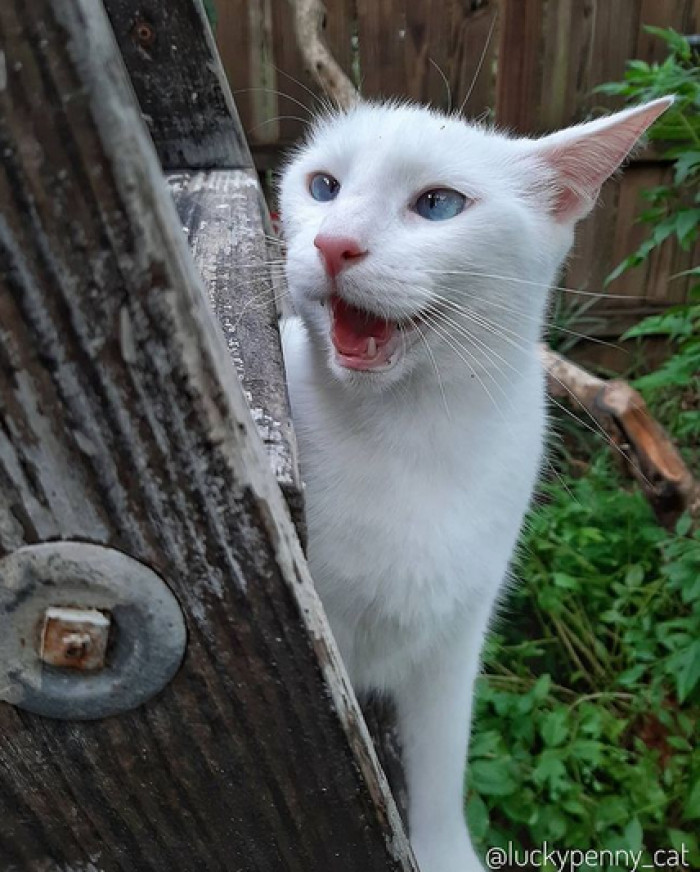 She has lots of fun: