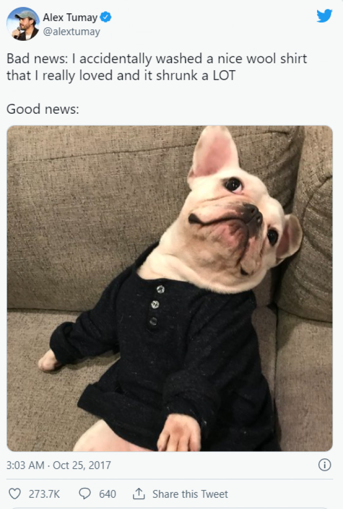 13. Definitely great news!