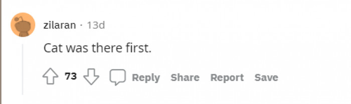 Another true statement.