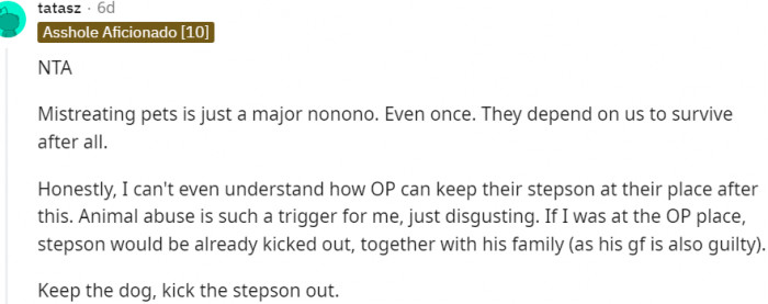 5. Keep the dog and kick the stepson out