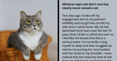 Redditor Shares How Her Loyal Cat Stuck By Her Side After Breaking Off Her Engagement