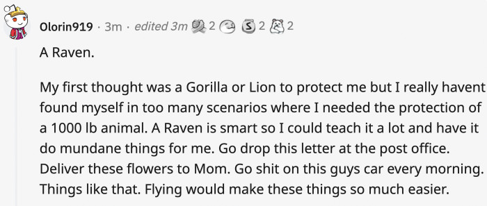 Ravens are very intelligent and vengeful