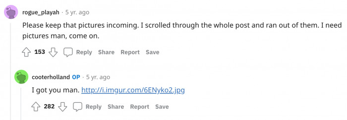 The original poster shared pictures of the dogs and Dipstick. They came as replies to the other Redditors.