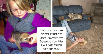 This Family Has A Pet Coyote And They Picked The Perfect Name For Him