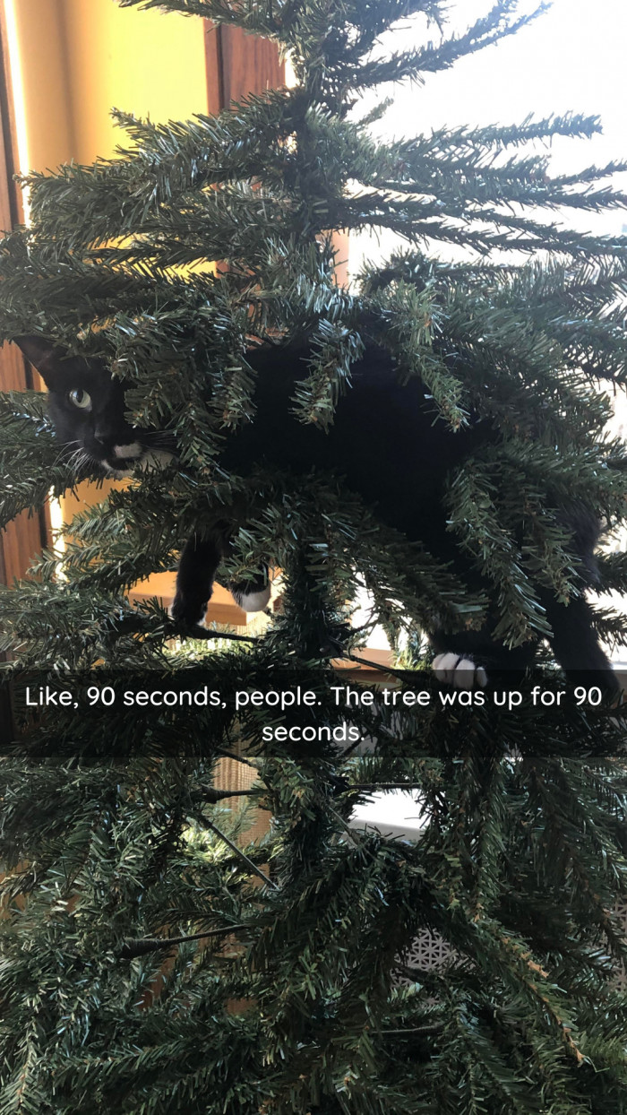 12. Over a whole minute!