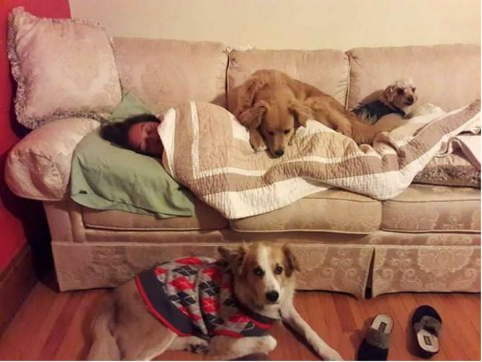 11. These pets made sure that their owner didn't feel cold on a snowy day!