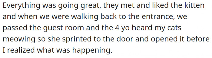 The meeting was great, but on their way out, the little child entered the guest room without permission and saw the owner's kittens.