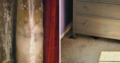 30 Cats Who Have Mastered The Art Of Camouflage