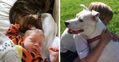21 Pictures Of Children And Their Pets Which Proves That Genuine Friendships Truly Exist