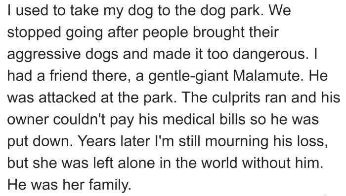 These irresponsible owners need to understand that some dogs are the only companions for certain people.