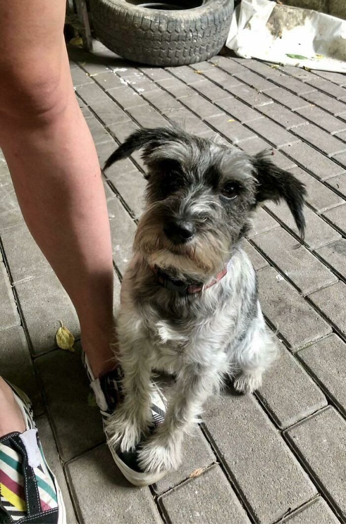 18. She puts a paw on my foot whenever she's nervous