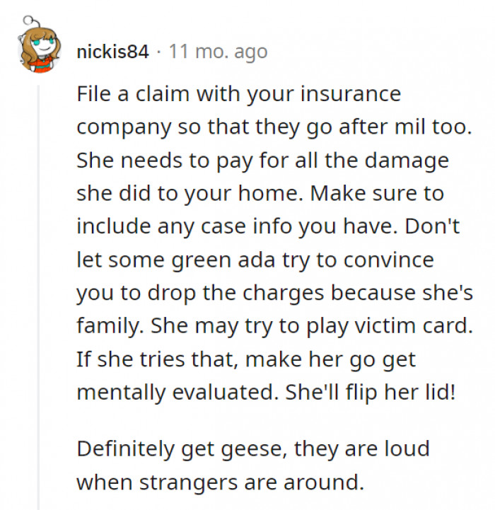 Love the geese advice!