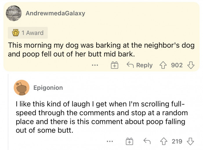 Sometimes when you're too busy barking, you can't concentrate on other stuff.