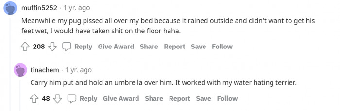 #4 Saying no to wet feet, but yes to wet bed.