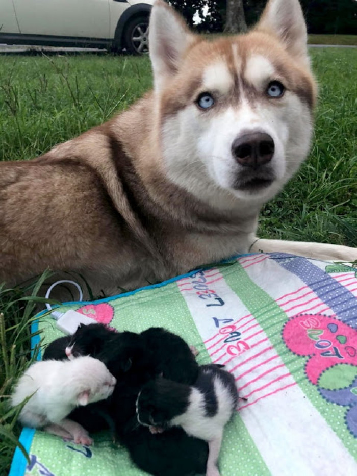 Banner is a good girl with motherly instincts