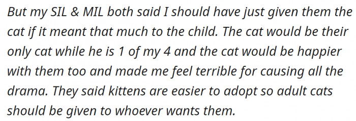 Others told her she should have just given the cat to the child.