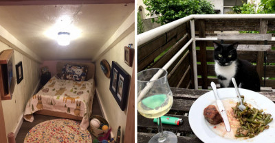 If You Have Done Enough Of These 10 Things To Your Cats You Just Might Be A Crazy Cat Person