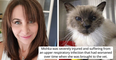 A Lost Cat Has Finally Been Reunited With Her Original Owner After Ten Long Years