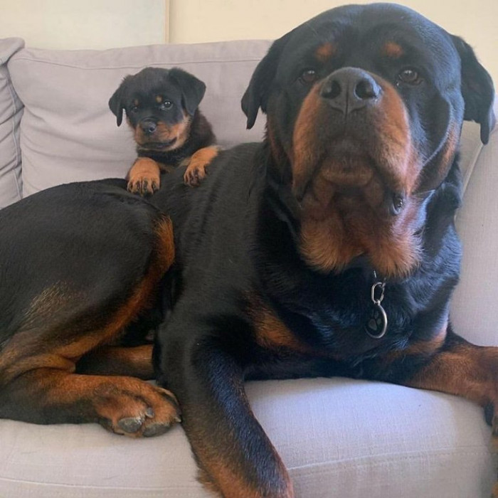 20. Mom and child duo