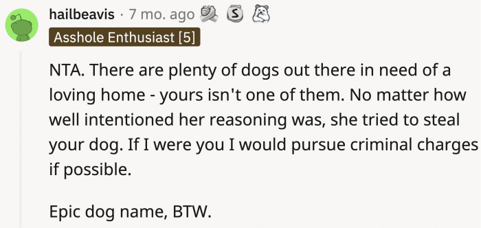 Now onto Reddit's opinion. They say OP is not an a**hole. The girl did try to steal her dog.
