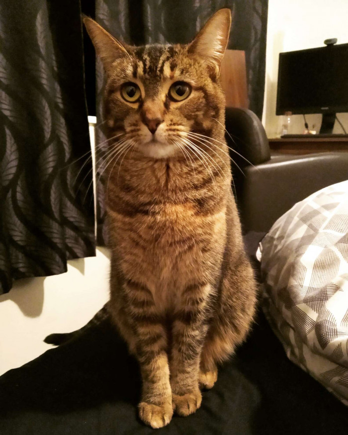 When Tony was released from ICU, he was moved into a nursing home.