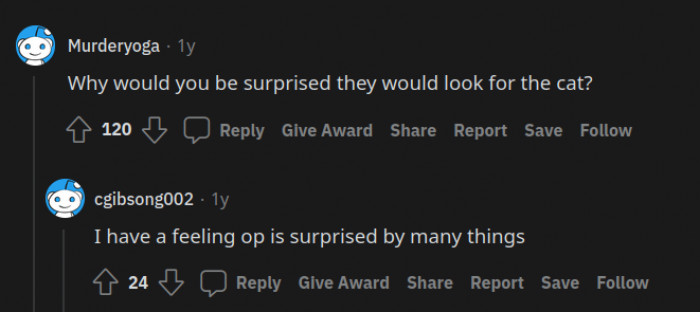 Surprise! People like cats.