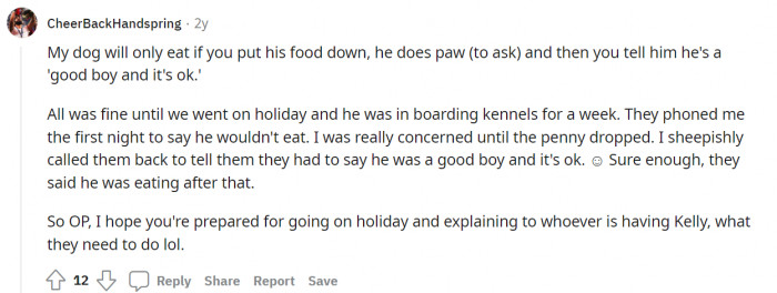 23. Always say he's a good boy; he deserves it!