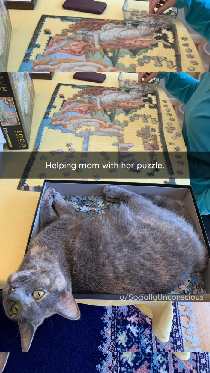 7. Such Helping!