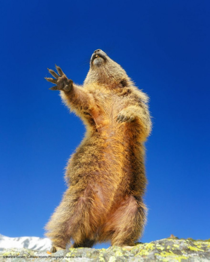 17. Bust a move!