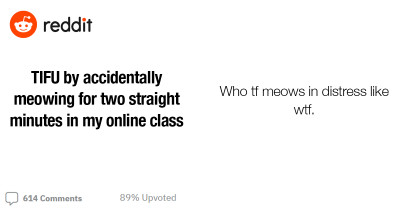 [TIFU] Student Accidentally Meows For 2 Whole Minutes In An Online Class