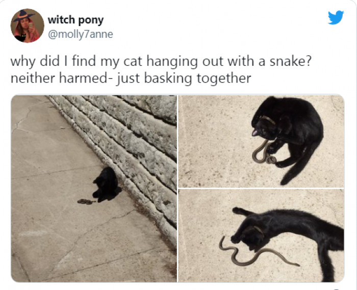 5. Hanging out with a pal