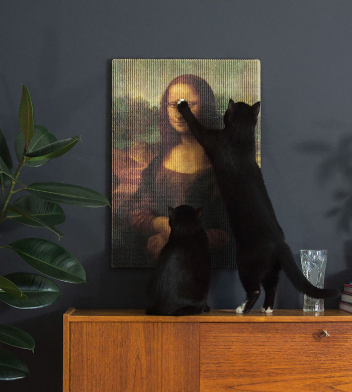 Even the cats can't believe what they're seeing.