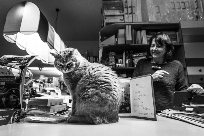 Marianna captures the beauty of the relationship between cats and humans even in the workplace. The fire still burns strong outside the home.