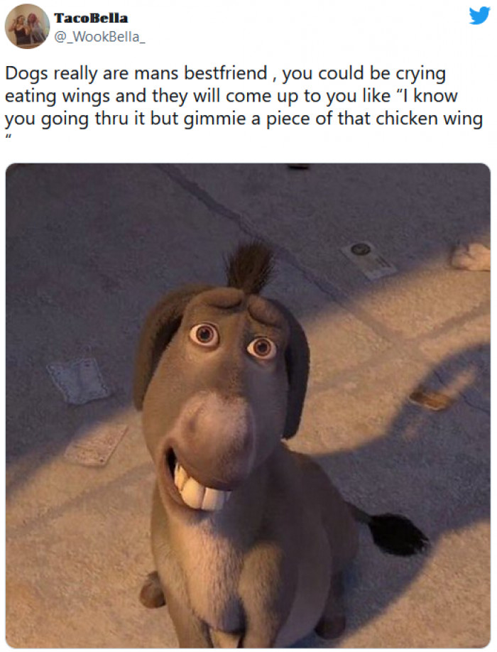 3. Dogs are like, "Yeah, I love you, but I also love snacks"
