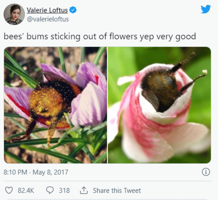 2. Pollen into the petal