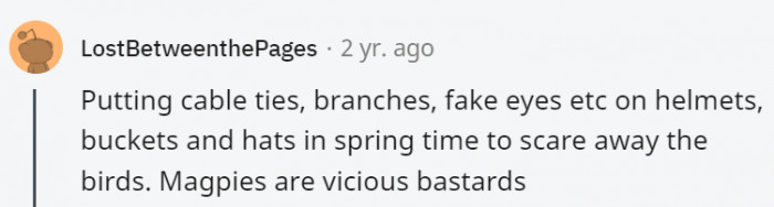 29. In Australia, the birds can be cute, but they can also be vicious.