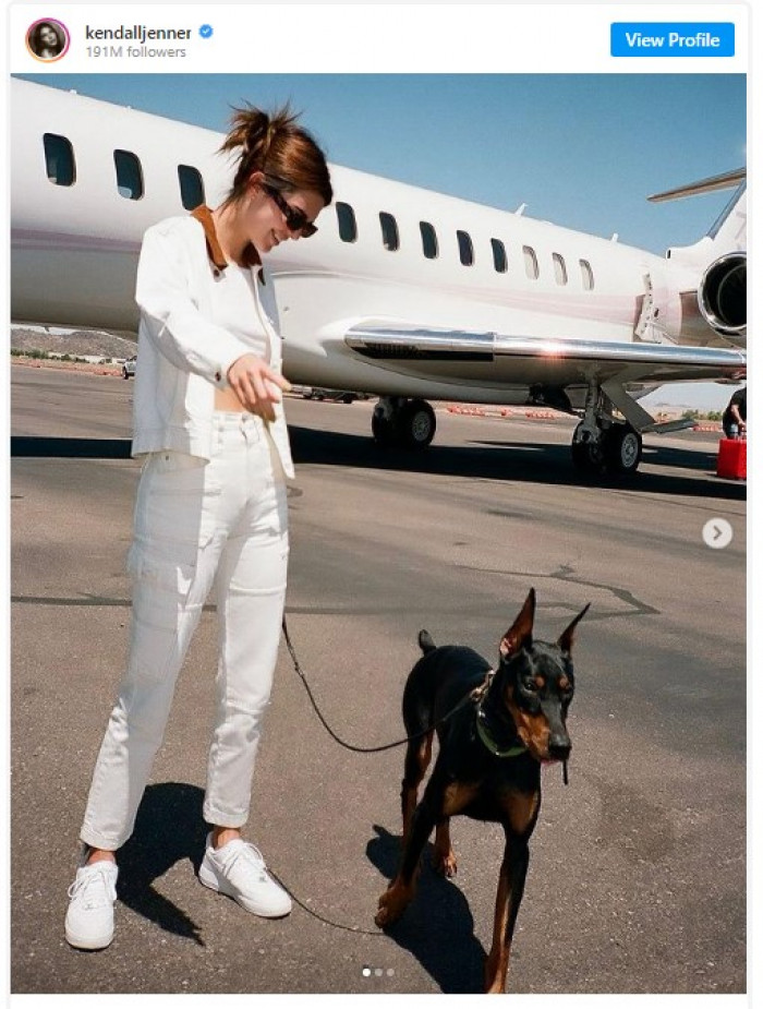 6. Kendall Jenner trying to make her dog look at the camera.