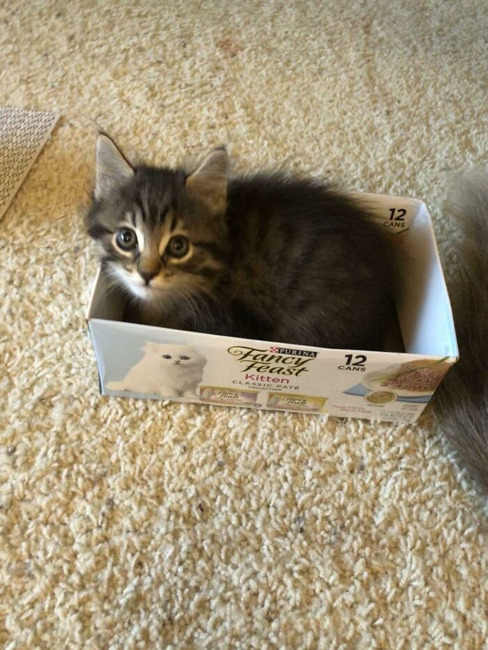 45. You can't resist him