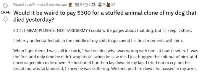 The Reddit user asked if it would be crazy to spend $300 on a plushie clone of their dog.