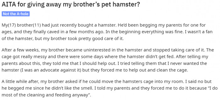 Giving away the pet hamster of the younger brother who didn't care for them after a while.