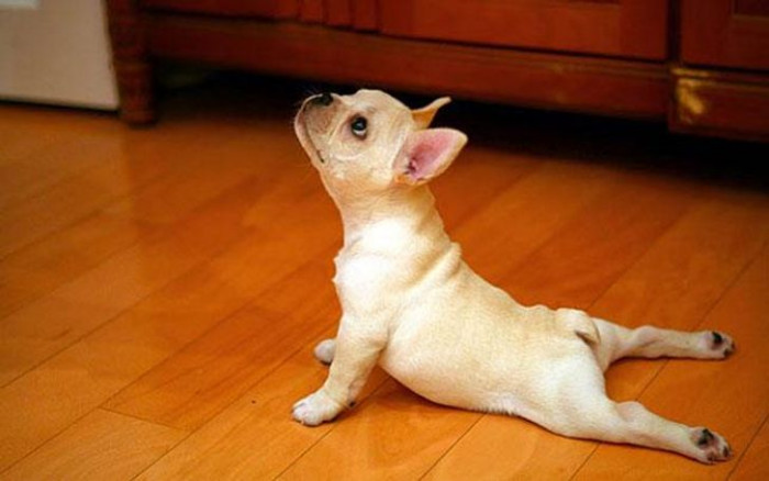 20. It is important to get some yoga done