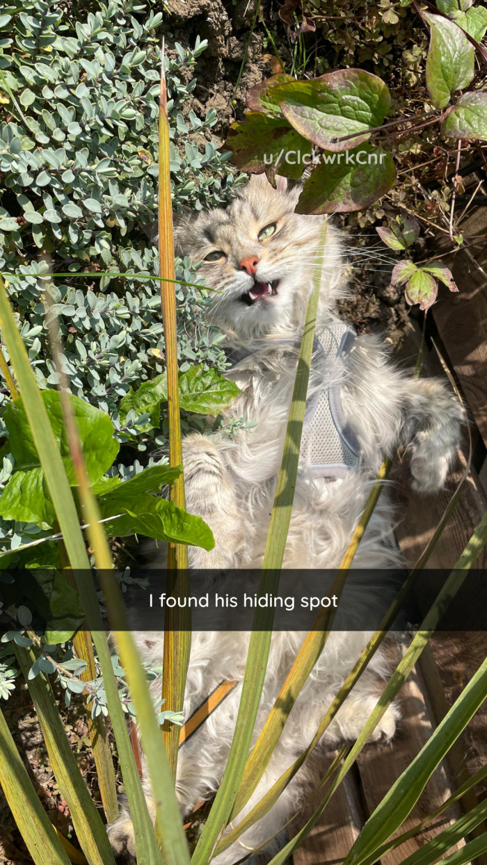 33. The ultimate discovery.